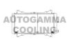 AUTOGAMMA 100336 Radiator, engine cooling